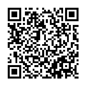 此消息的价值同样不大――洗月派就没在乎过妖物的攻击二维码生成