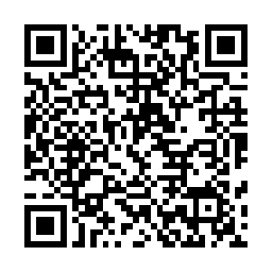 此番秦林已在京师成功激起了勋贵和文臣集团对张鲸的不满二维码生成