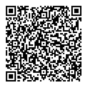 此神通几乎融合了命格旋转之后的七彩之力以及本身恐怖的肉身在加上无敌的气势在告诉下压缩模拟而出的神道之掌二维码生成