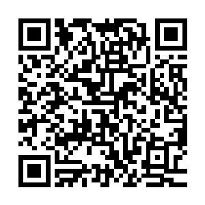 此细丝可以被修士用来当做一次性消耗品的毁灭性法器来使用二维码生成