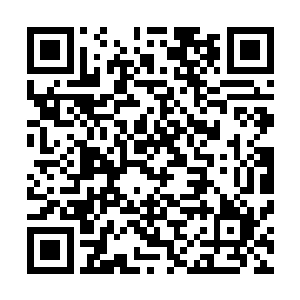步枪和人分离开摔在防御墙外的战壕散兵坑土地上一动不动二维码生成