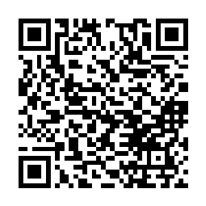 武亲王钱震也确实没有在林封谨身上获得这种感应二维码生成
