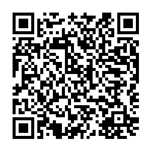 武朝中分离出来的军阀力量对着华夏军做出了第一次成体系成规模的试探二维码生成