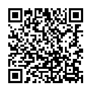 武术―仙术―练气全面压过西方的斗气―魔法―血统体系二维码生成