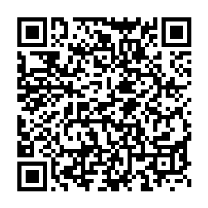 武英奇一定在秘密基地中设置了某种干扰和屏蔽异常波动的防御符阵二维码生成