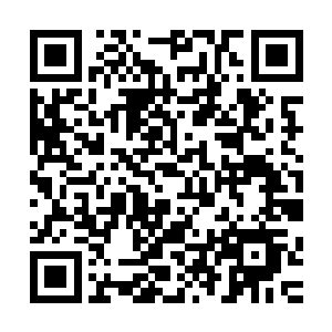武英奇果然在金晶塔的核心处设置了非常强大的精神攻击法宝二维码生成