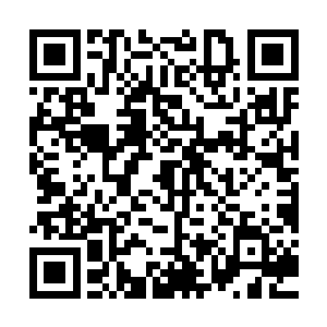 死气白赖坑蒙拐骗也要让扁衡帮我把管用的洗神丹再炼出来……二维码生成