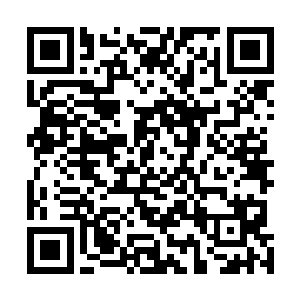 死活不肯同意这个……可又拗不过脾气更加执拗的方宗林二维码生成