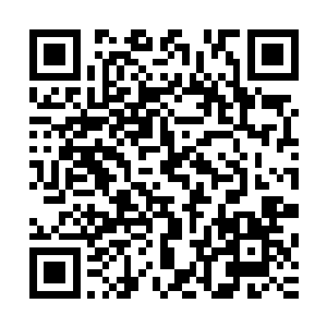 殊不知自己和羽田爱钻小树林的事情都在人家的眼皮子底下呢二维码生成
