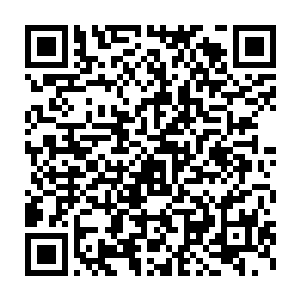 残狼佣兵团必然遇到了极为强烈的抵抗……而他们最终都没有走出来二维码生成