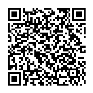 段命知道凡是修真到归真境界九重巅峰的修真者要冲击更高的不堕境界二维码生成
