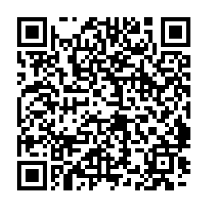 段浩然也还在滔滔不绝向大家介绍着荣光的这个冠军是多么了不起二维码生成