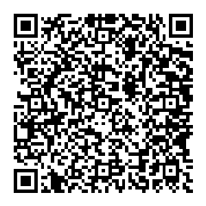 殷商废墟 难道我现在站在的地方 正好是都城朝歌的废墟之地 这里不是在天罚之下已经化作飞灰了吗 怎么可能存在废墟 二维码生成
