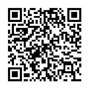殷虹的血顺着手腕扎过镇痛棒的血管小口处一下子溅了出来二维码生成