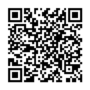 毅然决然的换上了轻便的衣服和赵纯良一起返回了赵家二维码生成