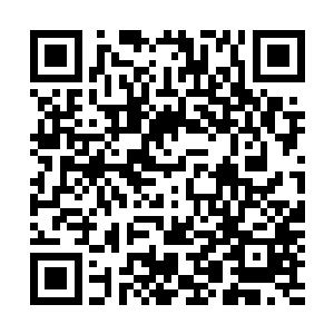 母体树大批治疗了在移动平台横渡海峡保卫战中受伤的尸兄二维码生成
