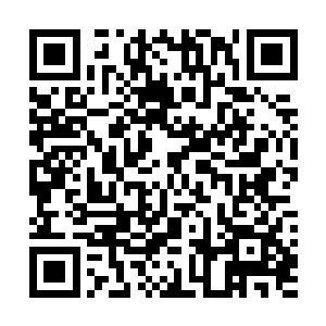 每一个家族的修真者在择偶上面都会经过家族的最佳优化二维码生成