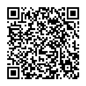 每一个通过化神镜考核的试炼者都会根据自身成绩获得新一次的参悟机会二维码生成