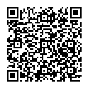 每一个都是可以独当一面的实力强悍的上忍……也只有这样的精锐上忍爆出来的忍者令牌二维码生成