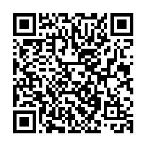 每一个飞升到上届的修士都会给下届的宗门带来极为丰厚的收获二维码生成