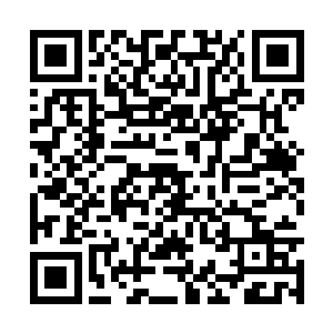 每一代向来只有最顶尖最优秀的几个弟子可以修炼二维码生成