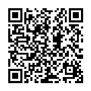 每一位仙王强者的诞生和陨落都将改写诸天百界的势力划分二维码生成