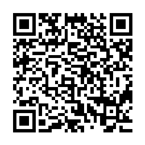 每一位神王炼化不朽之物在体内储存不朽之力的容量也是不同的二维码生成