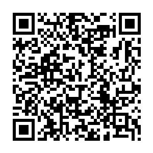 每一块飞掠而过的硬壳锯轮都可以在巨型饿鬼精身上剐掉一大块的血肉下来二维码生成