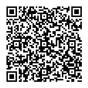 每一层都代表了一个岁月　他跨上第十层　就好似來到了上古　來到了史上最为混乱以及黑暗的一个年代二维码生成