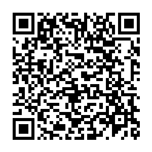 每一届的龙凤榜第一和第二名都是在最后时候才碰到一起进行决战二维码生成