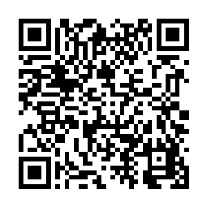 每一座通天塔明明是无数根巨大的木材搭建在一起二维码生成