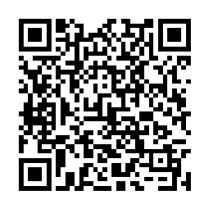 每一次定格都会从那些书页之上激射出不同的攻击二维码生成