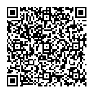 每一次跳动 都能看见血肉瞬间凭空而生 接着又在大货中焚灭 以此反复 不断的融化与修复二维码生成