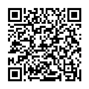 每一股的发尾都突兀的出现了一圈细碎的血红模糊符文二维码生成