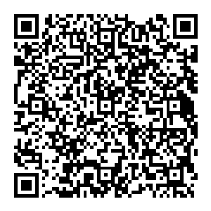 每个人身上的波动都十分的晦涩显然不是一般的强盗龙傲天估计就算是修为比他们高一个等级的都不一定能够发现他们的行迹二维码生成