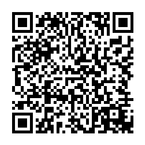 每个国家的实力也都是相差不是很大每个国家都有大大小小成百上千的修真家族二维码生成