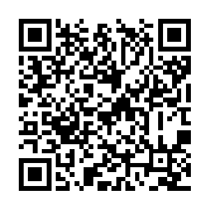 每个月到日子母亲不提起他们也会主动去印小爪印二维码生成