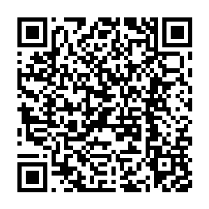 每个球员都在体能训练阶段按照教练给自己安排的训练计划进行训练二维码生成