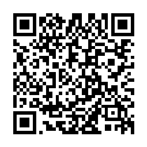 每位嘉宾实际上都能够通过不远处的大屏幕看到实时的网友互动二维码生成