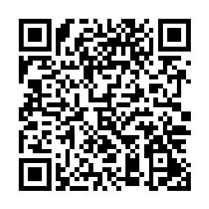每天用意念在肚子里按经络运行的方法结合拳劲流走的方法二维码生成