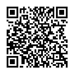 每天都需要增加十多台全新的服务器才能够应付暴增的玩家人数二维码生成