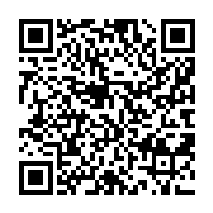 每年四千万上品源晶的欠款实在不值得杨开这般兴师动众二维码生成