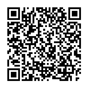 每年青火宗的炼气期弟子都会前往距离青火宗不远的迷雾森林中去历练二维码生成