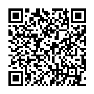 每拖延一分钟都会导致那古墓封印被破的几率增添一分二维码生成