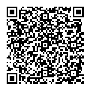 每日的看似睡觉其实除了必须的歇息时间其他时候我都是在脑海里一遍遍演练奶奶教我的本事再修炼二维码生成