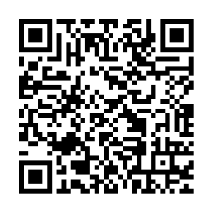 每棵妖树的树皮外多了一道道从一尺粗到数丈粗不等的黑色血管二维码生成