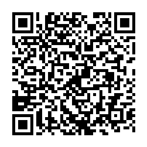每次学术讨论会的时候就不知道该支持谁……别小看了学术研讨会二维码生成