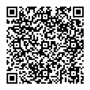 每次看到白白嫩嫩软绵绵的小君涵被墨小宝欺负的眼泪在眼眶里眼眶里打转却倔强的不肯掉下来的小模样二维码生成