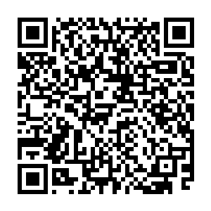 每次跟在墨修尧身边都眨巴着眼睛望着叶璃和跟着叶璃一起练的青霜和青鸾二维码生成