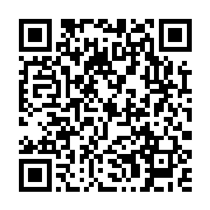 每次都是这种野兽般的直觉挽救了他一次又一次……二维码生成